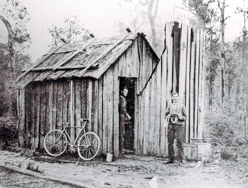 Snapshot of the past: bush bark hut post image