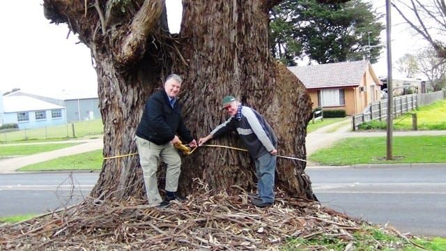 Register for Drouin trees post image