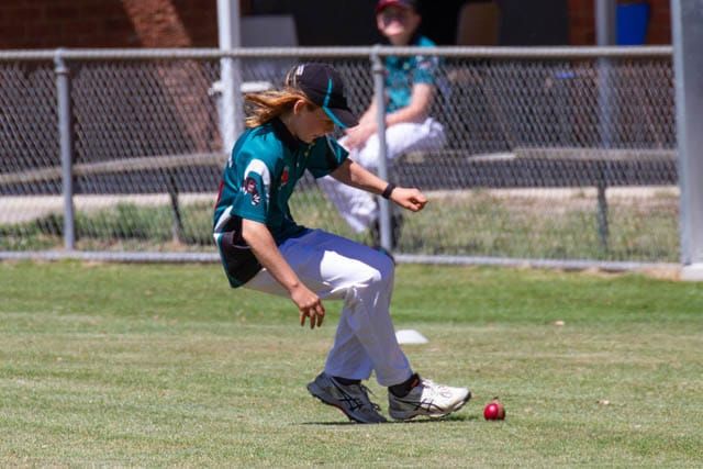 Cricket U16s Yarragon Hallora v Neerim District - 12122020 post image