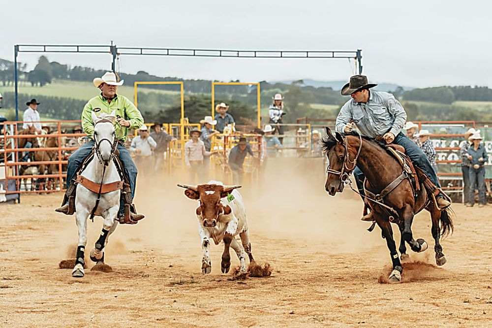 Spills and thrills of rodeo action returns post image