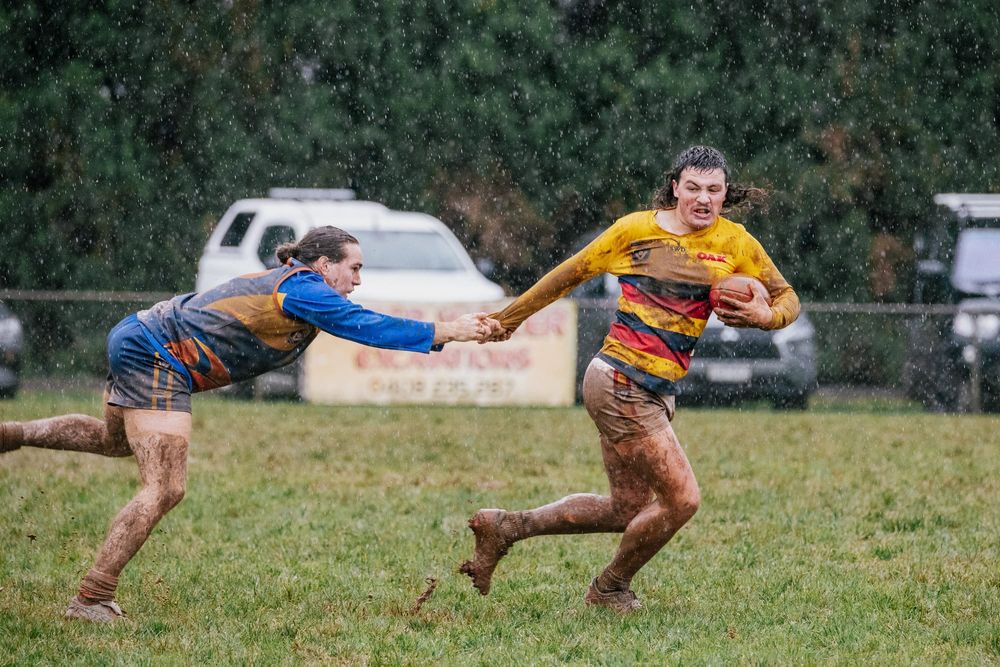 Crows' streak faces Lyrebirds test post image