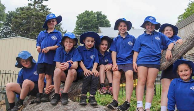 NSPS Gardening Day - 05.12.2023 post image