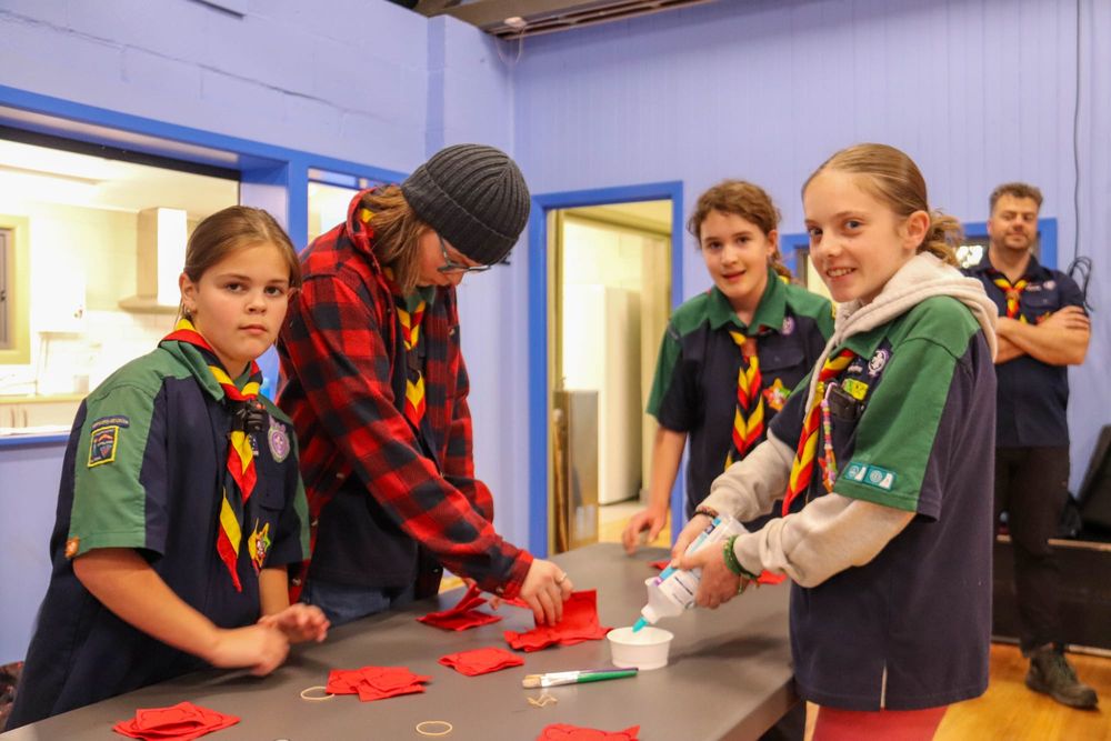 Scouts Poppies - November 11, 2025 post image