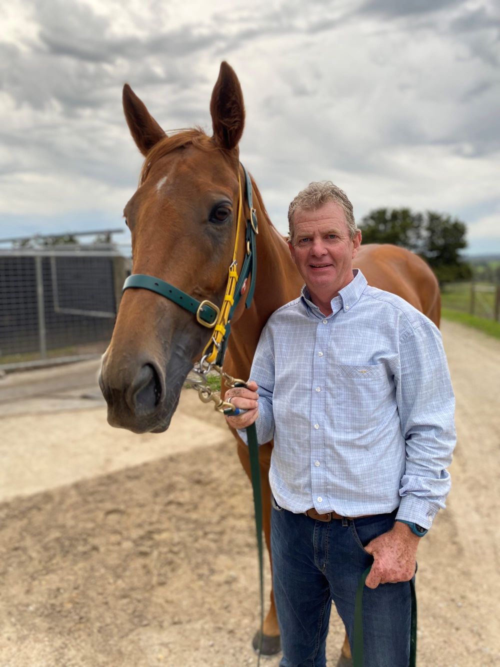 Trainer hopes purple patch stays a while post image