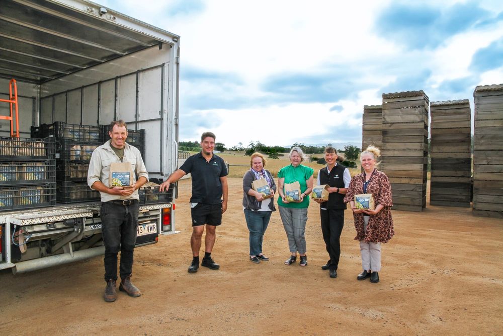 Daffodils delivered for hospital fundraiser post image