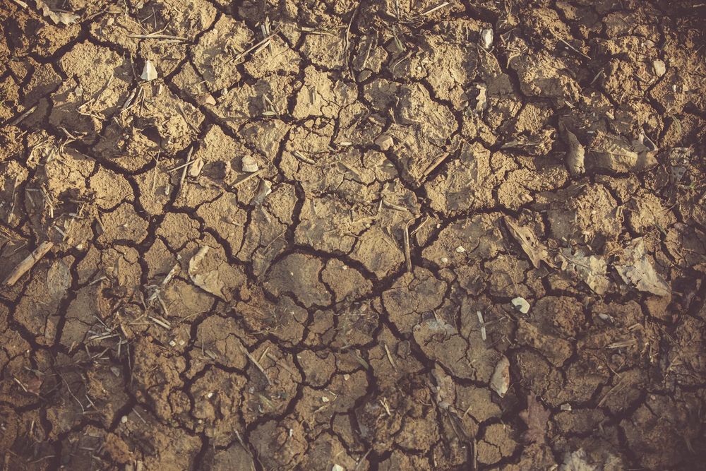 Funds to help Gippsland deal with drought post image