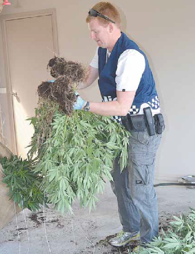 Marijuana found at Warragul house post image