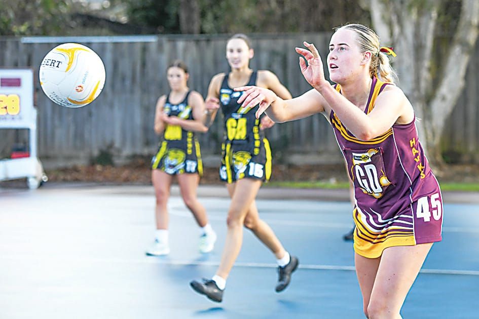 Hawks win by 10 goals on wet track post image