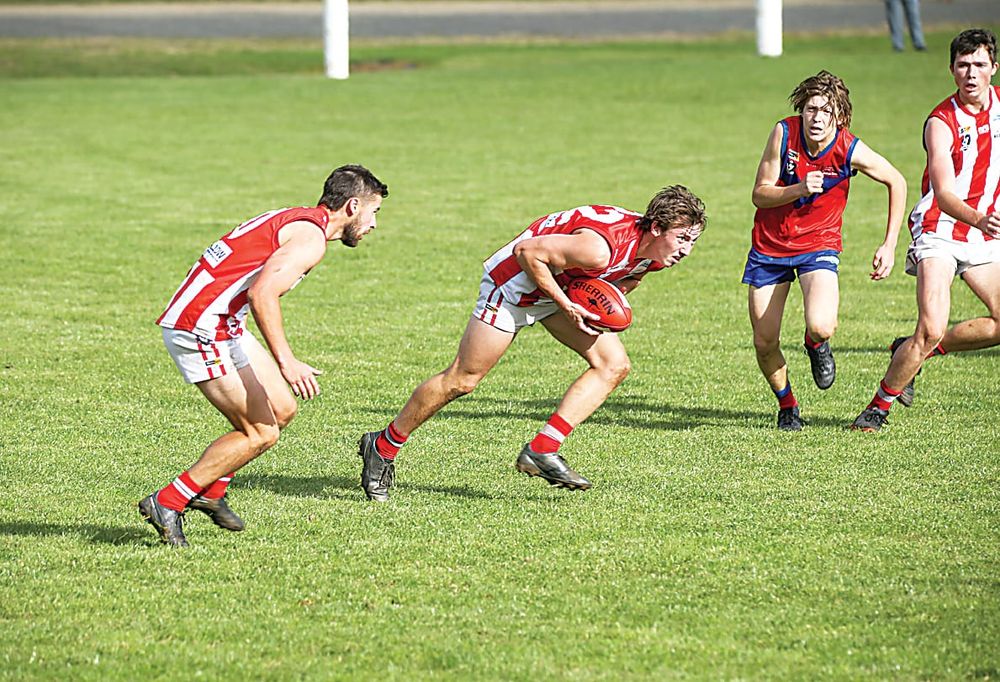 Lyrebirds best Bloods to stay unbeaten post image