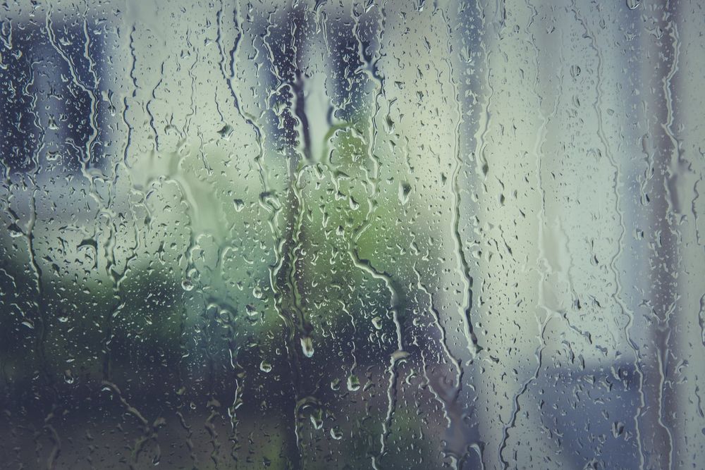 Wetter than average year for Warragul post image