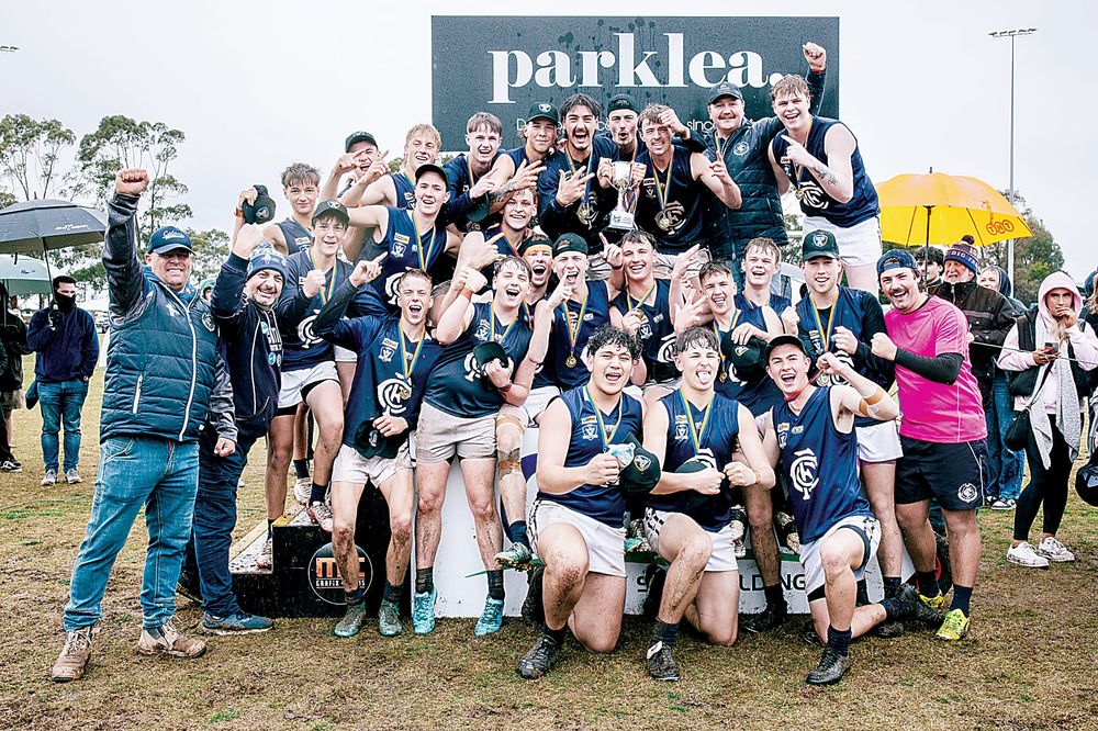 Blues battle to win post image