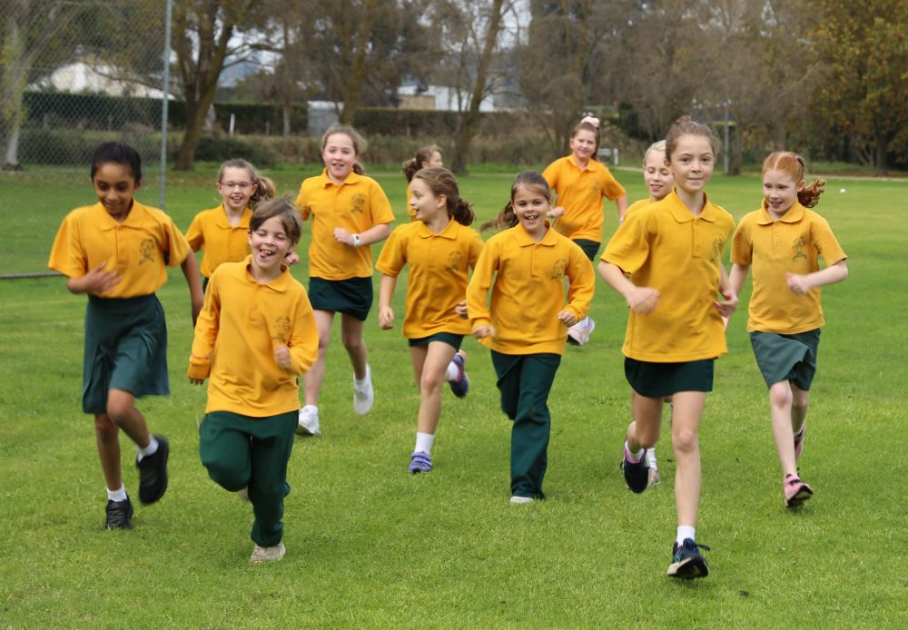 Cross country fun at St Joseph's post image