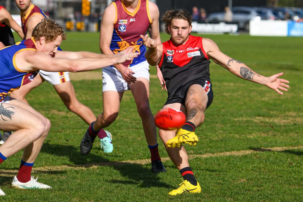 Gallant Gulls leave Lions in the lurch post image