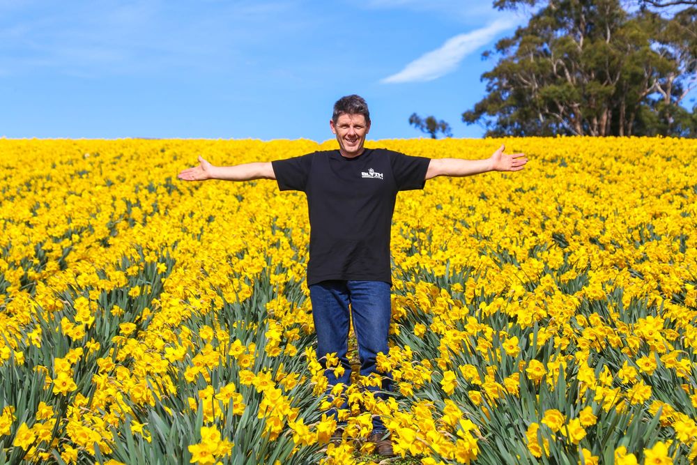 Field of hope post image