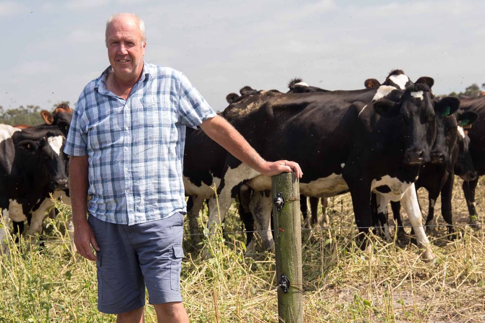 Honours for Noel’s dairy service post image