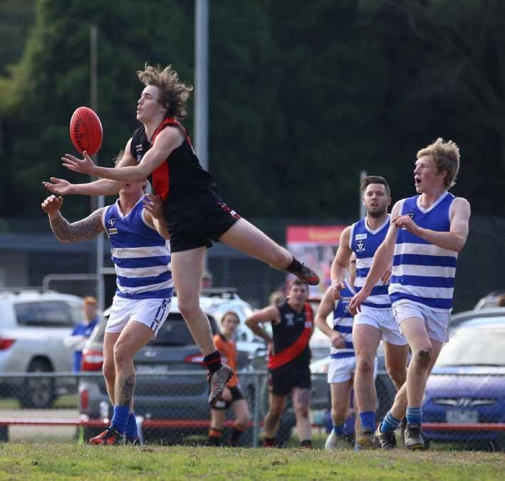 Darnos may spoil Dusties chances post image