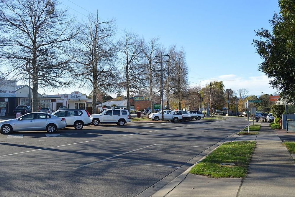New history group holds open day post image