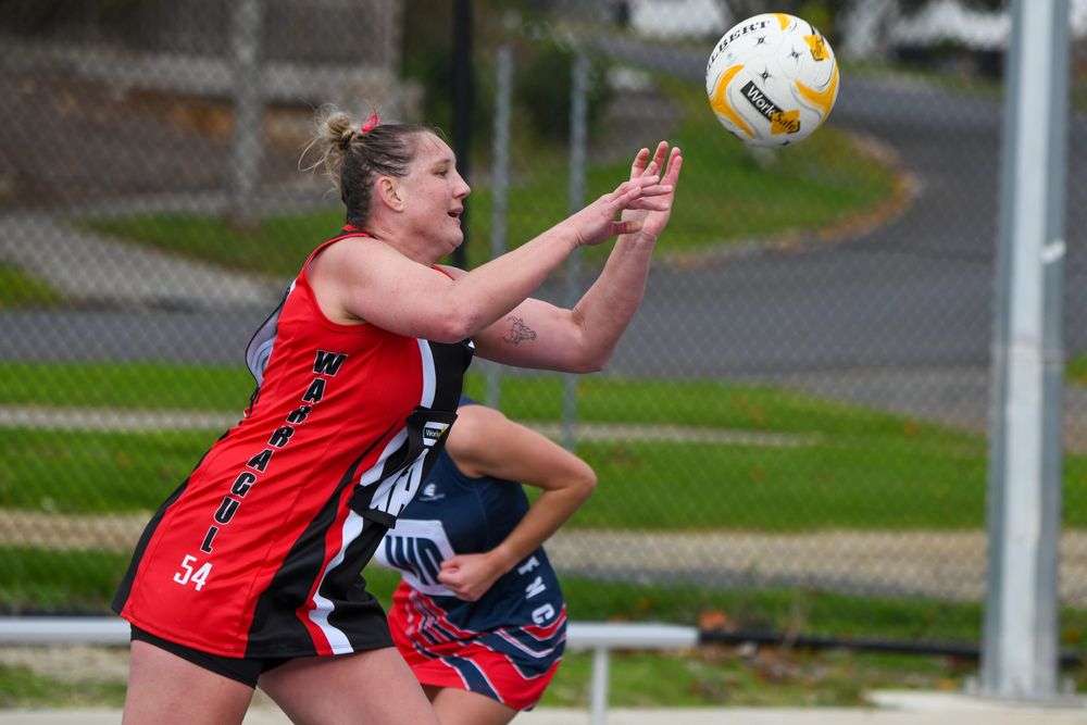 Gulls jump to second post image