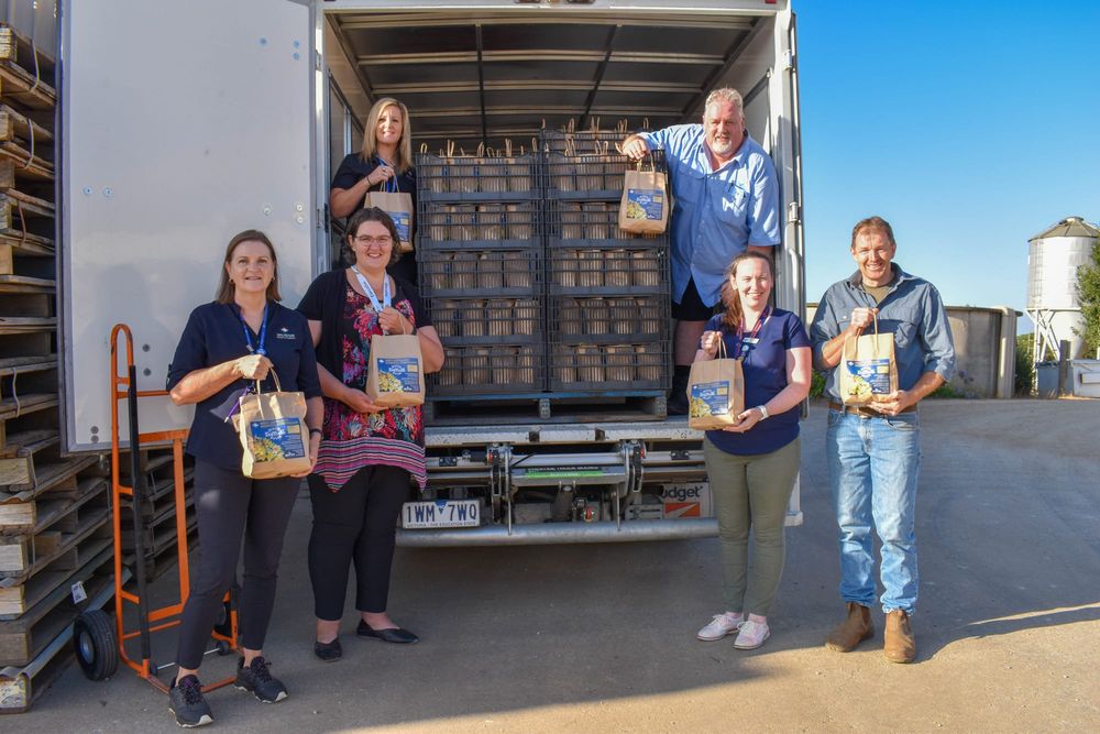 Daffodils on sale to raise vital funds post image