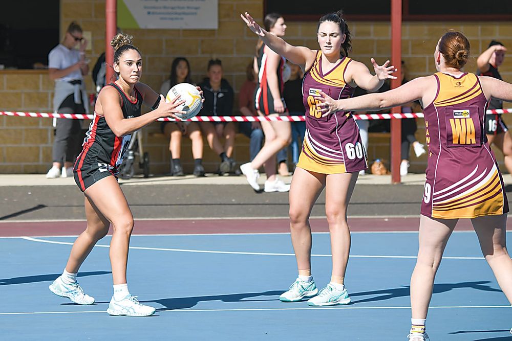 Gulls aim to evolve as season kicks off post image