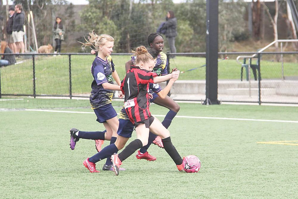 United juniors win in a nail biter post image