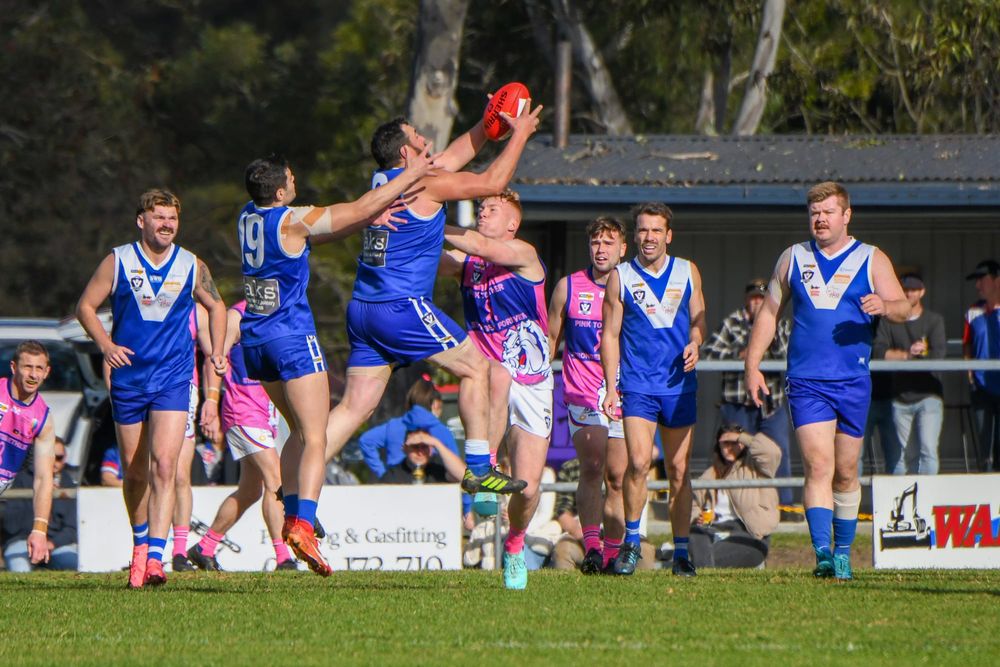 Blues fall short against Bulldogs post image