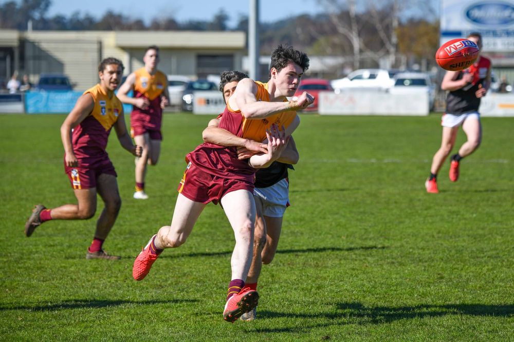 Hawks top Gulls in battle of the rivals post image