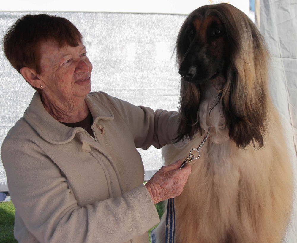 Bunyip Show - 27.03.22 post image