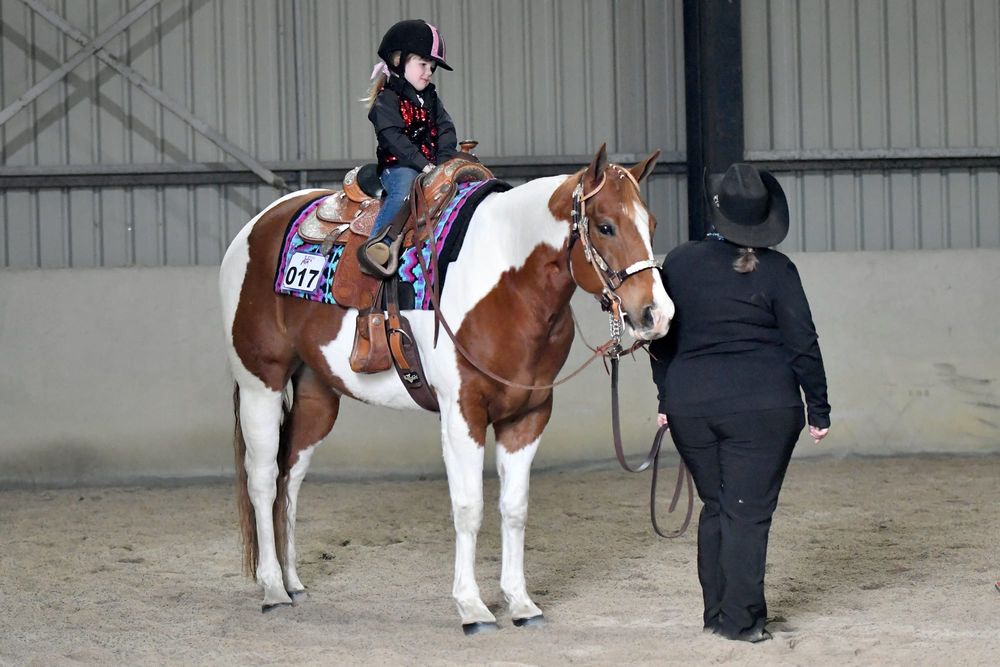 Paint horse show delights fans post image