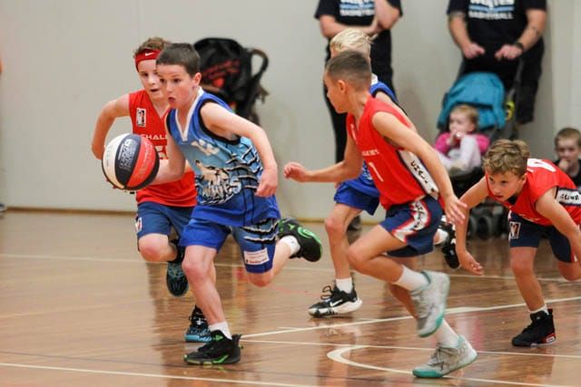 Basketball (U10's) Boys - Chalkie Sharks Vs. Neerim Wolves - 22.03.2024 post image