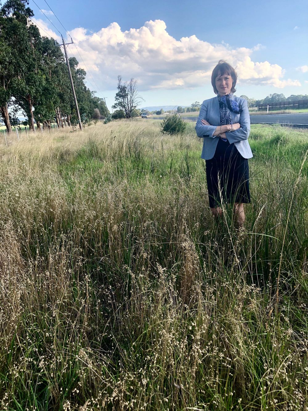 Rid roads of fire hazard post image