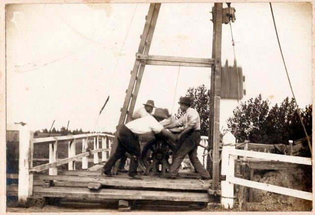 Bridge Repair - 23.01.2024 post image