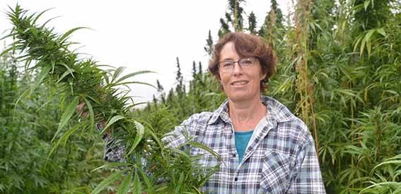 Hemp attracts interest post image
