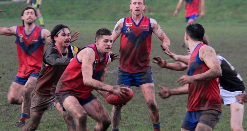 Battle of the birds for a double chance in EDFNL post image