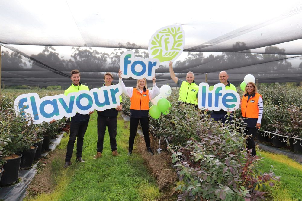 Growing flavours for life post image