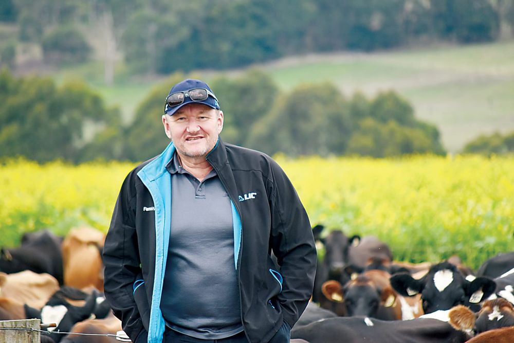 Milking routines up for discussion post image