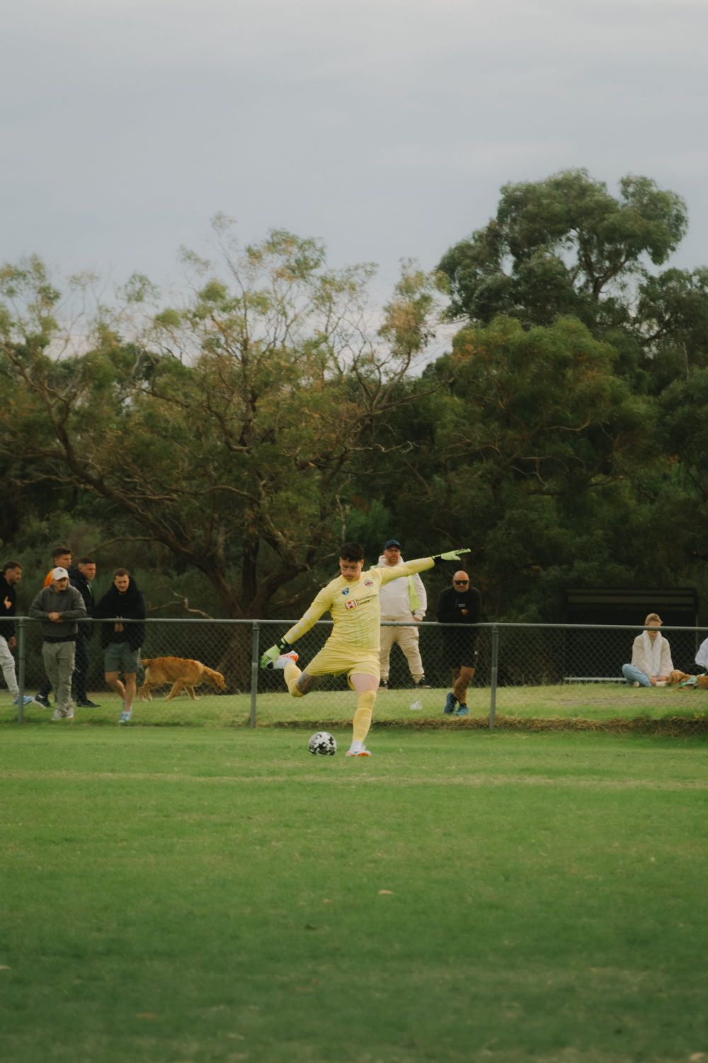 United seniors go down, reserves win post image