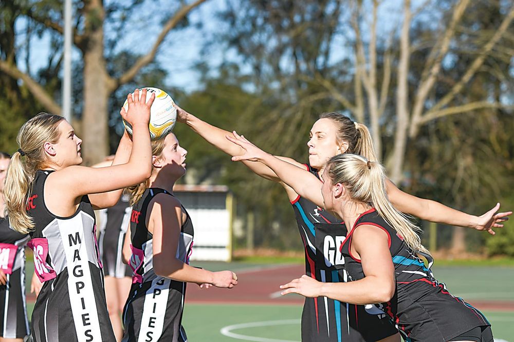 Gulls impress in senior grades over Magpies post image