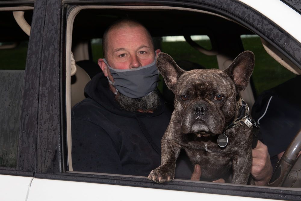 Car park vet consultations for our furry friends post image