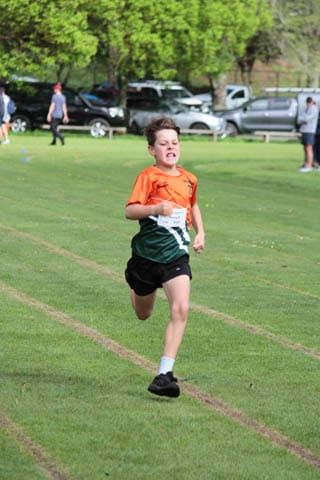 Little Aths - 05.10.2024 post image