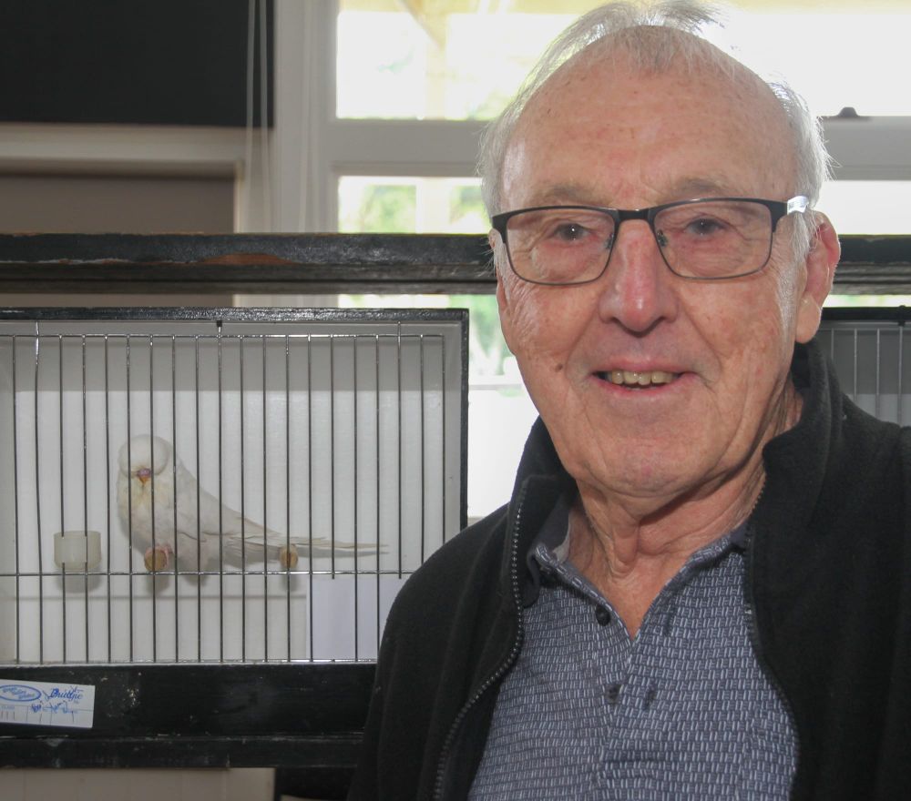 Strong turnout for budgerigar show post image