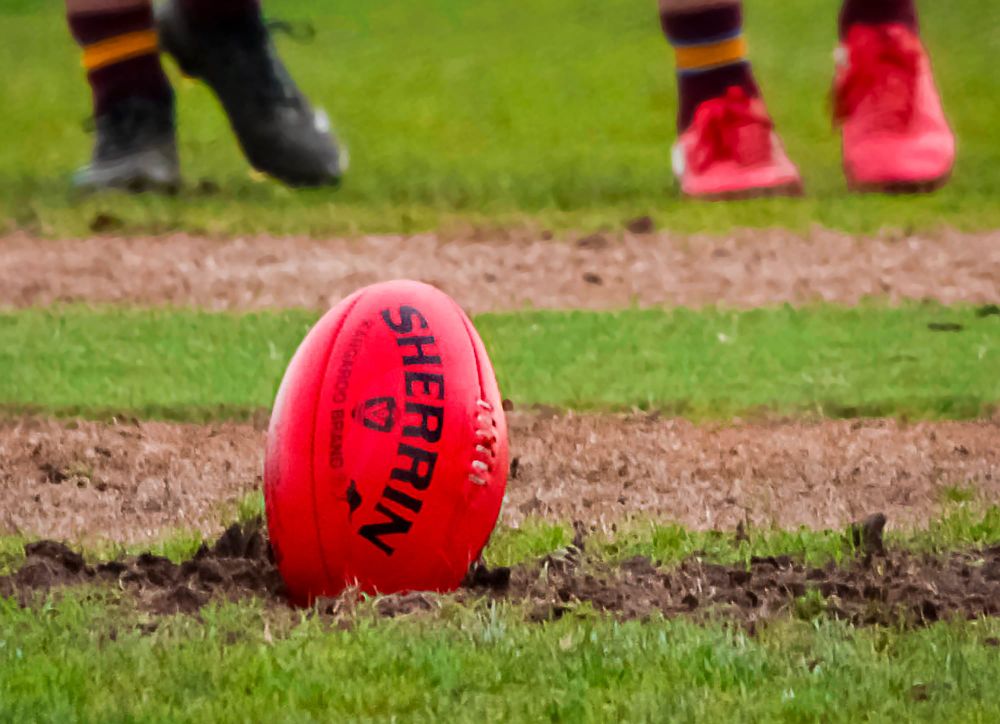 Panthers stay in the hunt for finals post image