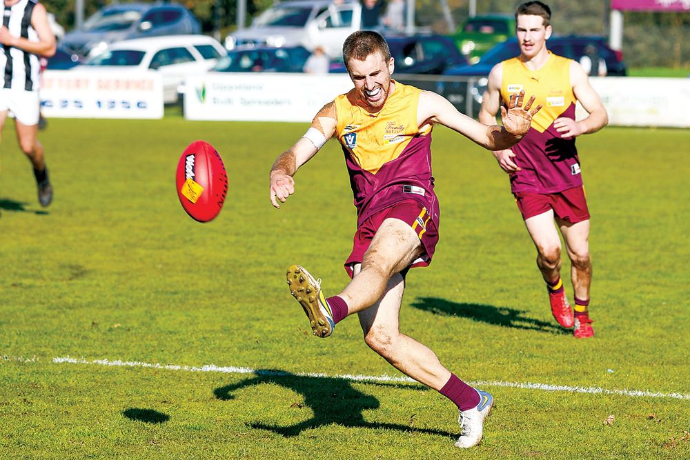 Hawks hurt themselves in Maffra mauling post image