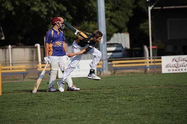 Cricket called off post image