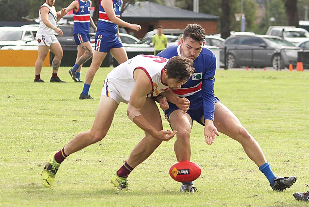 McGarrity masterclass in Dusties win post image