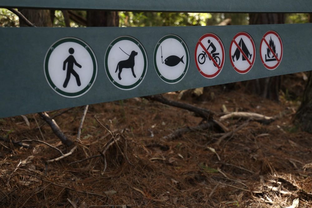 Extra risks for campers this summer season post image