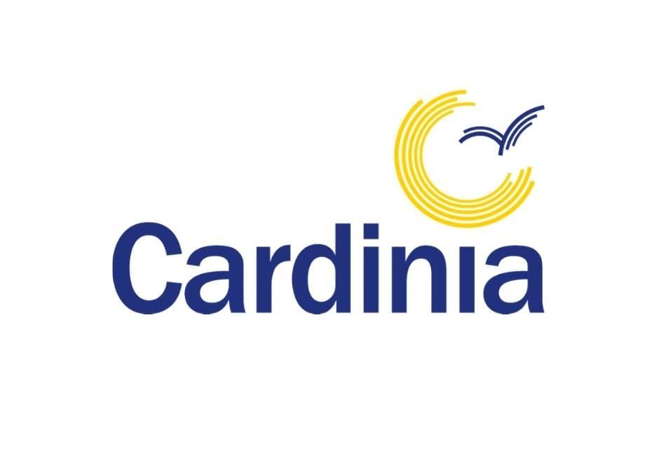 Art link to Lang Lang rodeo post image