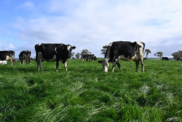 Photos - 25.04.2023 post image