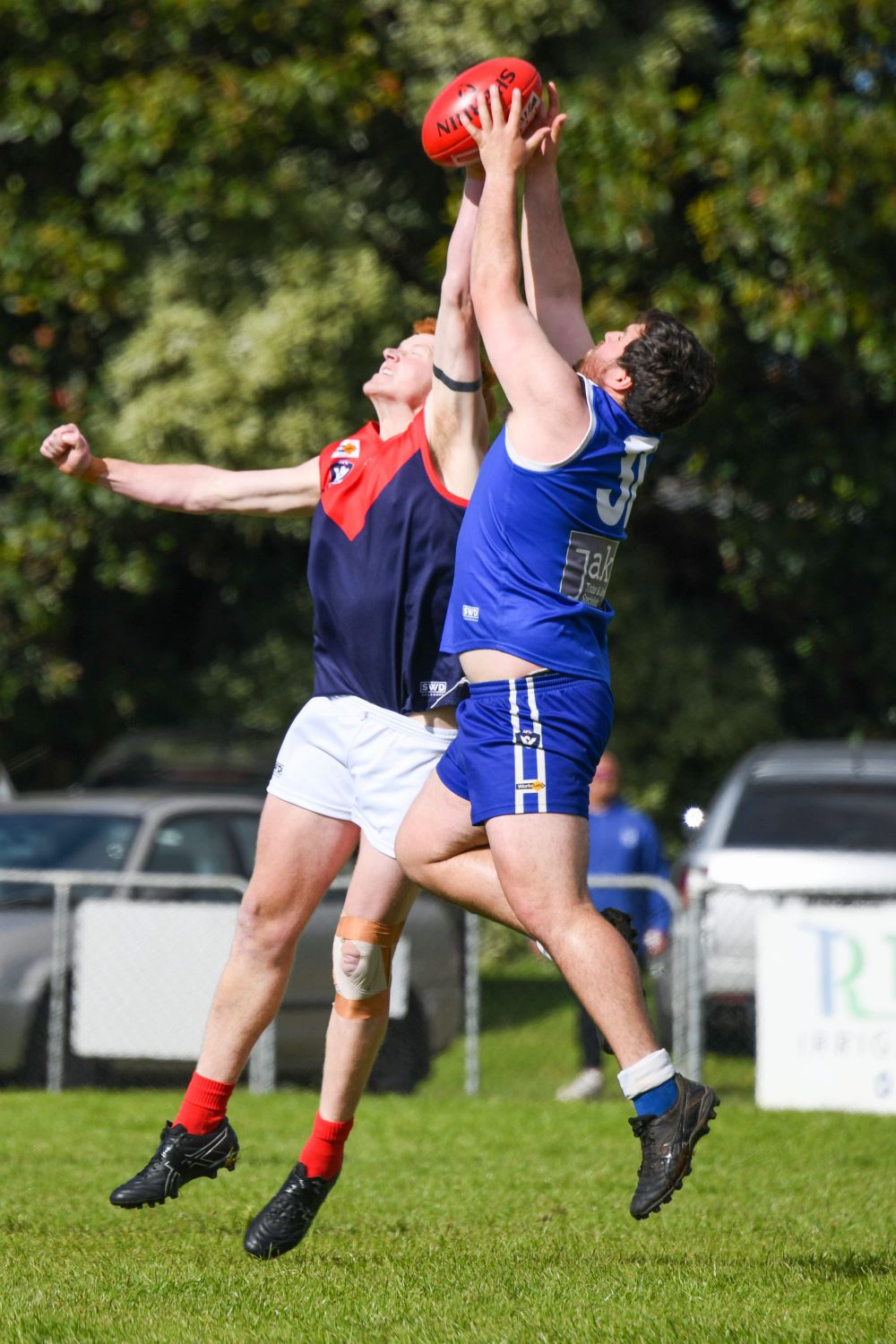 Blues prove credentials post image