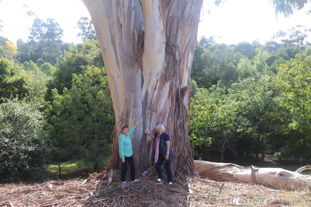 Year in review: April, May and June post image